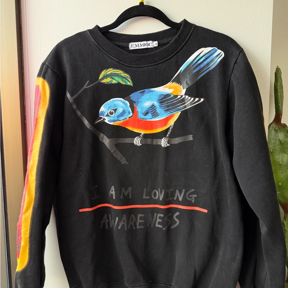 Rare Kanye West I Am Loving Awareness Grey Men’s Sweatshirt Size M Y2K Hype